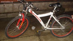 bicicleta mc kenzie
